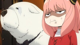 Anya os: "I don't believe you!"