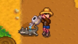[Stardew Valley] ฉันคือราชาแห่งปริมาตร ฉันจะไม่ยอมออกจาก Stardew Valley!