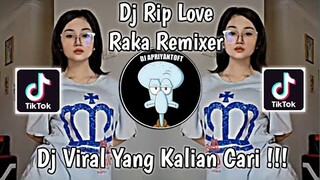 DJ RIP LOVE RAKA REMIXER VIRAL TIK TOK 2022 YANG KALIAN CARI !