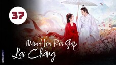 Tập 37| Mùa Hoa Rơi Gặp Lại Chàng - Love Never Fails (Lưu Học Nghĩa, Hồ Ý Hoàn, Hứa Hiểu Nặc,...).