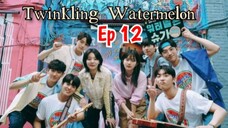 Twinkling watermelon Ep 12 Sub indo (Mosar_drakor)
