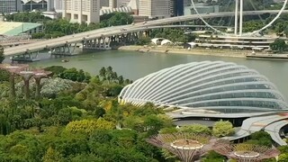 &{เต็มเรื่อง}ไม่มีใครเห็น CEO ถูกคนชั่วผลักตกดาดฟ้า มีแต่สาวขอทานคนที่กระโดดรับไว้