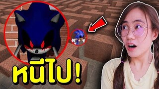 ถ้าเจอ SONIC.EXE ในเขาวงกต ให้หนีไป!! | Mind&Nat