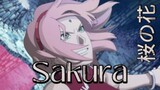 Sakura [AMV]