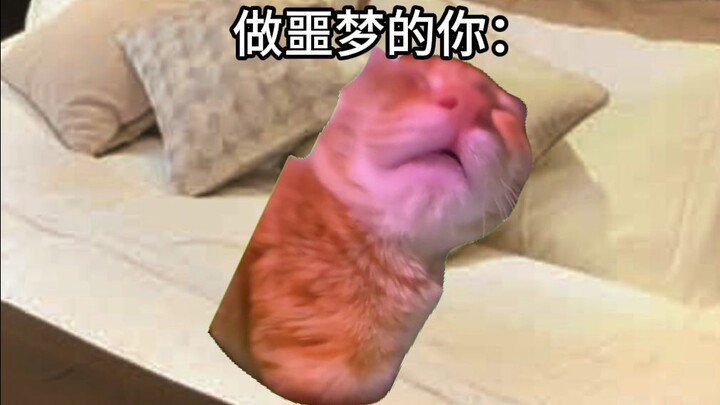 半夜做噩梦是什么体验