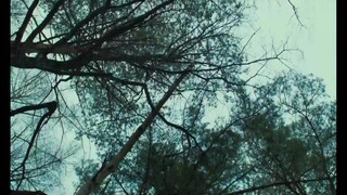 Evil Does Not Exist (2023) ที่นี่ไม่มีปีศาจ [ซับไทย]