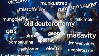 cats the musical but it's only the character names