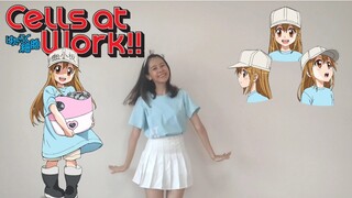 Hataraku saibou เซลล์ขยันพันธุ์เดือด!🦠 —เต้นเพลงน้องเกล็ดเลือดสุดนุ่มนิ่ม 🩸🤍