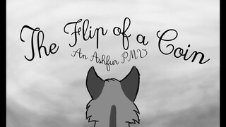 The Flip of a Coin | Ashfur AU PMV