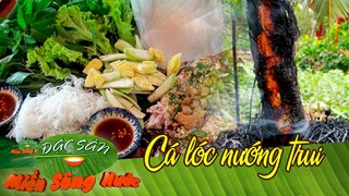 Dân dã món cá lóc nướng trui | Đặc sản miền sông nước