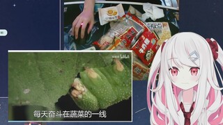 ปฏิกิริยาของสาวญี่ปุ่นที่ดูฉีดหีใหญ่
