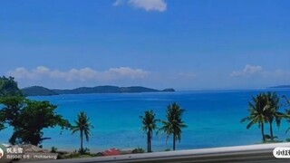 當你知道了許多真實  虛假的東西  就沒有那麼多矯情了  你越來越沈默  越來越不想說