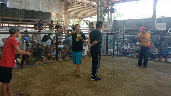 dumayo tayu sa urbiz malayo coliseum win Tayo 2025