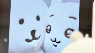 病娇熊8.0