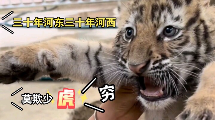 一口咬喜你！！！！信不信？？！！三十年河东三十年河西，莫欺少虎穷！！