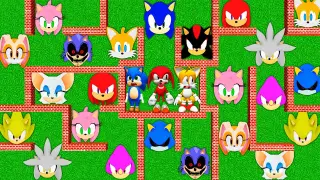How to escape MAZE of SONIC in MINECRAFT animation? SHADOW SILVER AMY ROSE TAILS KNUCKLES EGGMAN
