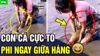 Tổng Hợp Tình Huống  "HÀI HƯỚC KHÓ ĐỠ " Đảm Bảo KHÔNG CƯỜI KHÔNG LẤY TIỀN P816 |Trùm Tin Hài