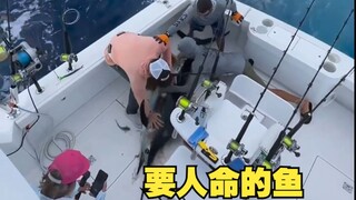会要人命的鱼，你敢钓吗？