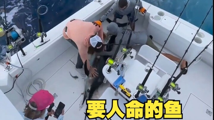 A fish that could take your life—would you dare to catch it?