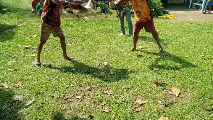 Topada Nanaman idol paldo