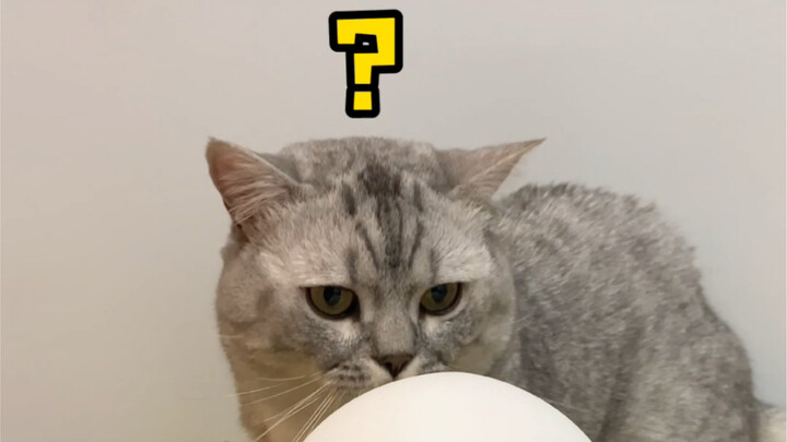 “Seeing the Essence Behind the Surface”