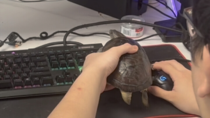 Saat Aku Pakai Umur Si Anak Durhaka di Rumah untuk Ngegacha