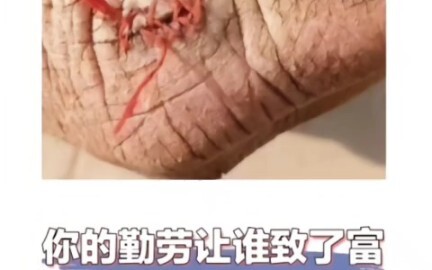 If hard work could make you rich, this hand alone would be the richest in the province!