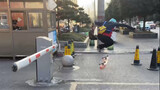 Skating on the streets