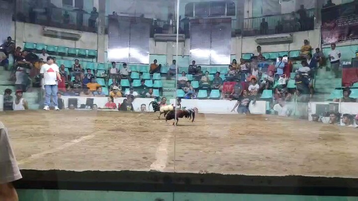 2/9 Pagbabalik Coliseum