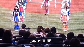 CANDY TUNE BAI FIGHT