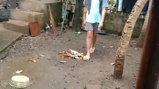 bisaya lang to para bilibili Animation