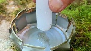 Survival in the wild.