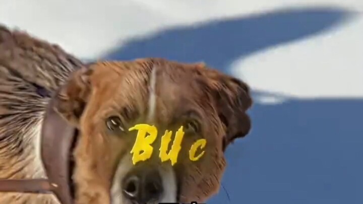 【Panggilan Alam Liar / Buck】Mantap banget, langsung bikin aku terpancing dua kali!