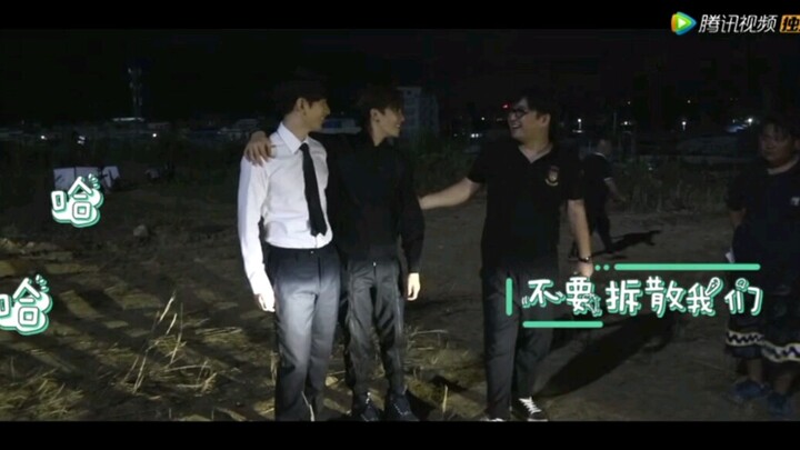 【Liputan Eksklusif Pohon Suci Qinling】Aku beneran nggak bisa nahan—Bing Xie itu nyata, dan Gong Chen