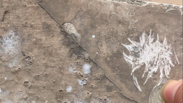 ผู้สูงส่งผู้โดดเดี่ยว ปีนป่ายและเหนือกว่าผู้อื่น ท่านจะรับมืออย่างไร!!!