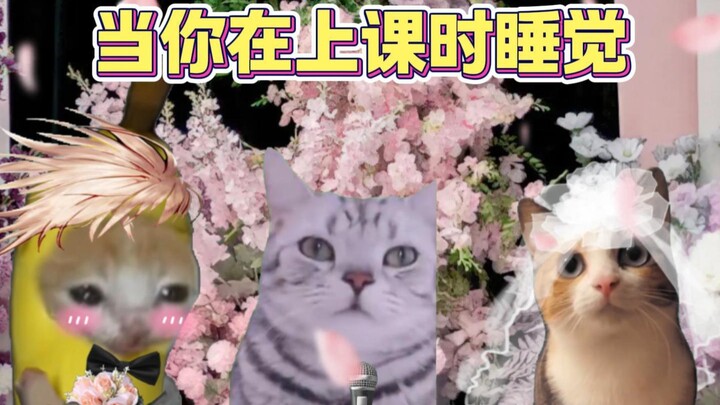 当你在上课时睡觉