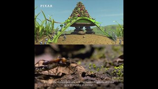 Disney and Pixar's A Bug's Life | The Real-Life Insects | Disney+