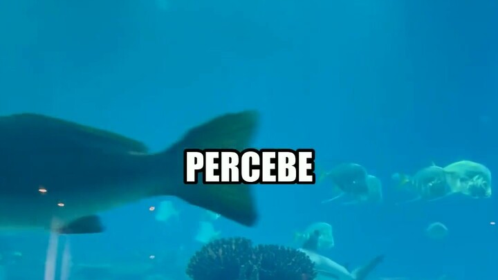 O DETALHE da internet que ninguem percebe