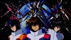 Mobile Suit Gundam SEED DESTINY 06