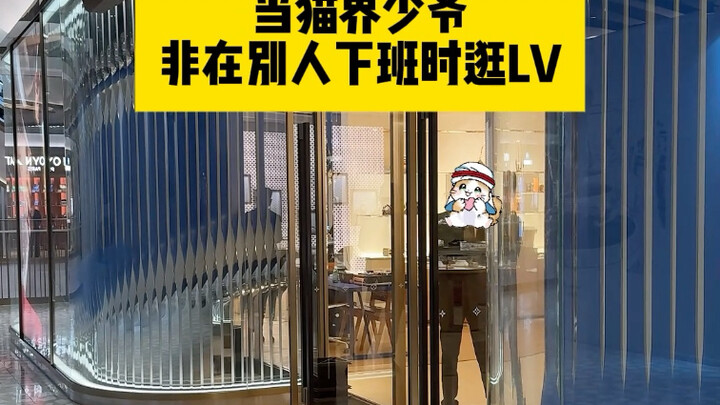 Khi cậu ấm mèo nhà ta lang thang LV đúng lúc người khác tan làm #vlog hàng ngày #mèo #mèo của Messi 