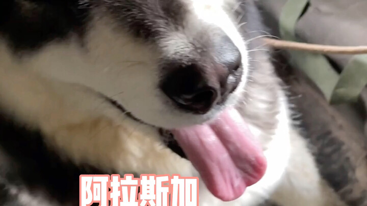 Sebagai manusia, jangan pernah menyerah pada tanggung jawab dan hati nurani.