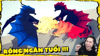 ĐẤU TRƯỜNG RỒNG NGÀN TUỔI !!! (Pobbrose Đấu trường dặt dẹo TABS) ✔