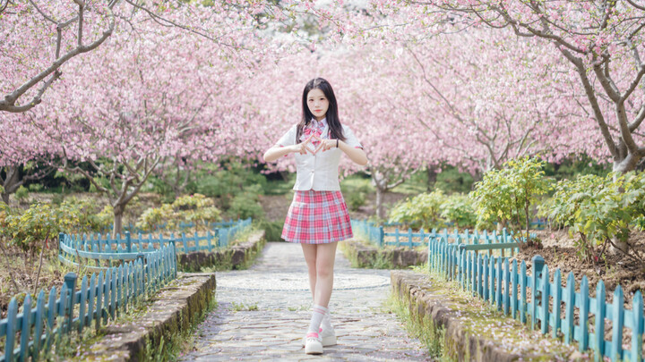 Pick me up! The place where dreams begin 🥹 Eight years and still dancing to [nekkoya] 🌸