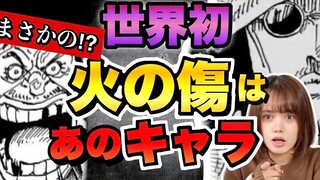 【海贼】不懂日语就无法发现！揭露“烧伤男人”的真相！最后路标历史正文在“那里”！！