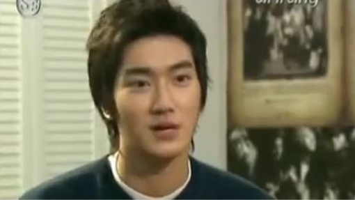 The Super Junior Guide: Choi Siwon