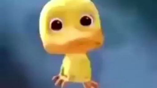 duck meme