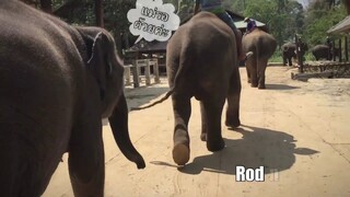 นานๆทีน้ำเพชรจะได้อาบน้ำกับคุณแม่👨‍👩‍👧🤗