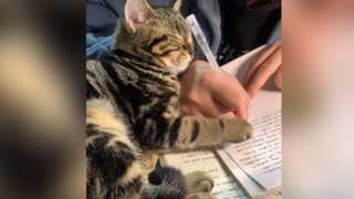 พบสาเหตุที่ผลการเรียนไม่ดีแล้ว!!