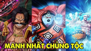 Roger - Jinbei - Enel | Top 9 Nhân Vật Mạnh Nhất Các Chủng Tộc One Piece