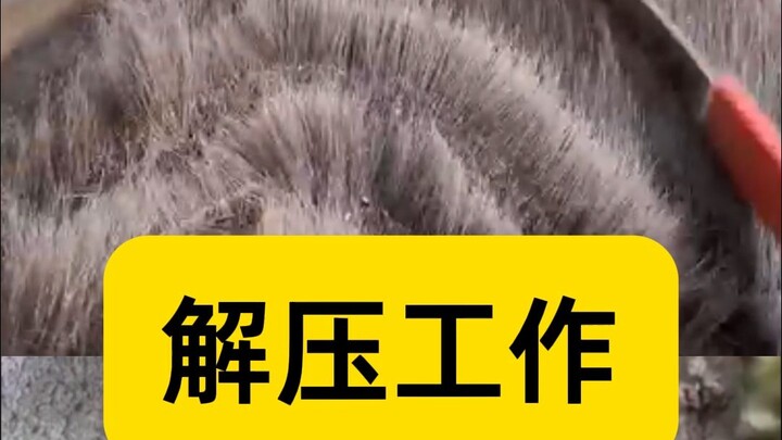 两份解压的工作